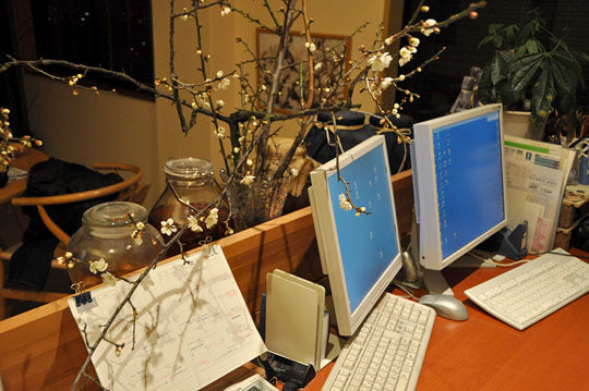 香り漂うデスクワーク