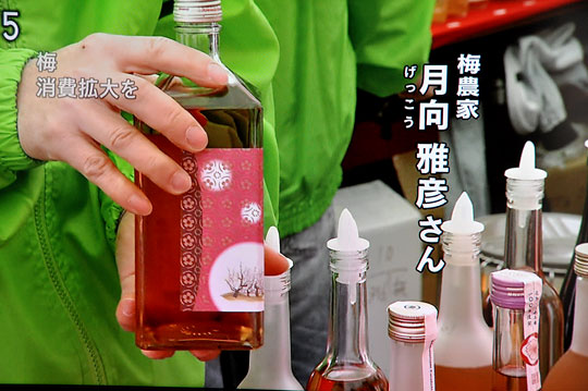 梅酒コレクション2