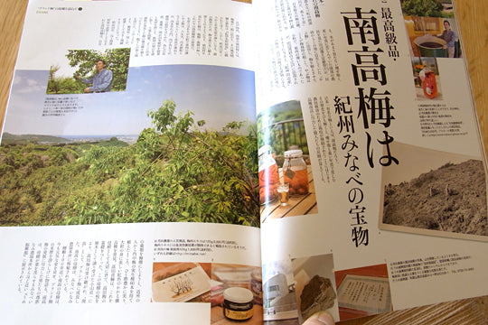 梅酒の基本
