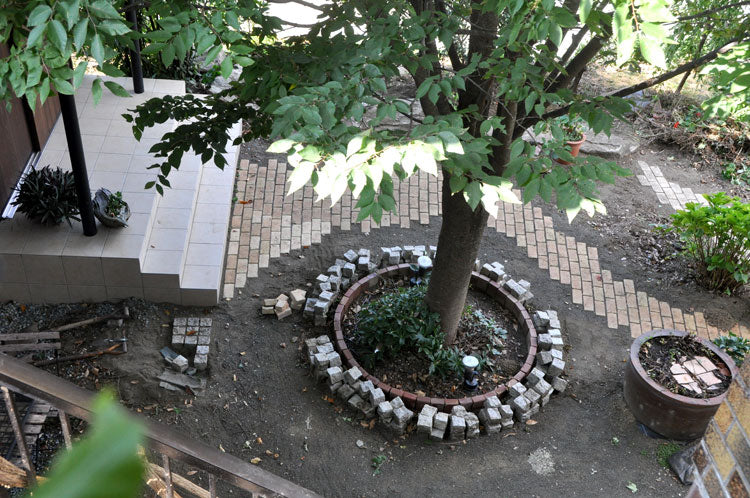 順調に回復中