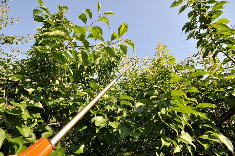 ハサミでパチパチ中