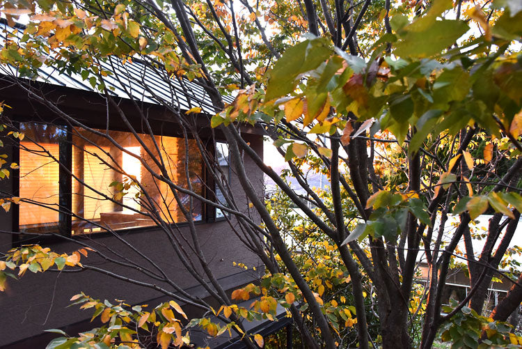 なんとなく、こうよう2015