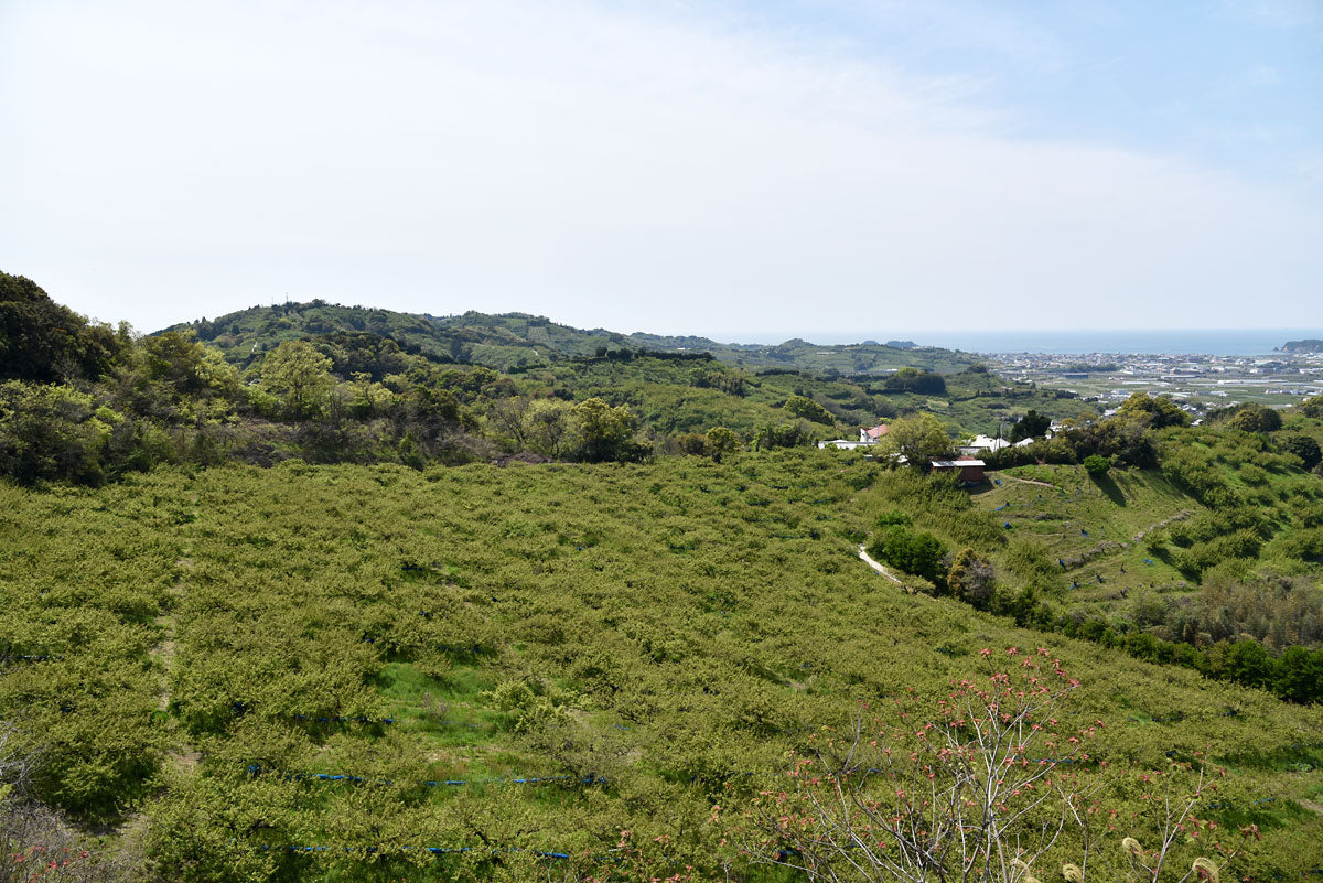 いつもと変わらぬ景色なんだけど