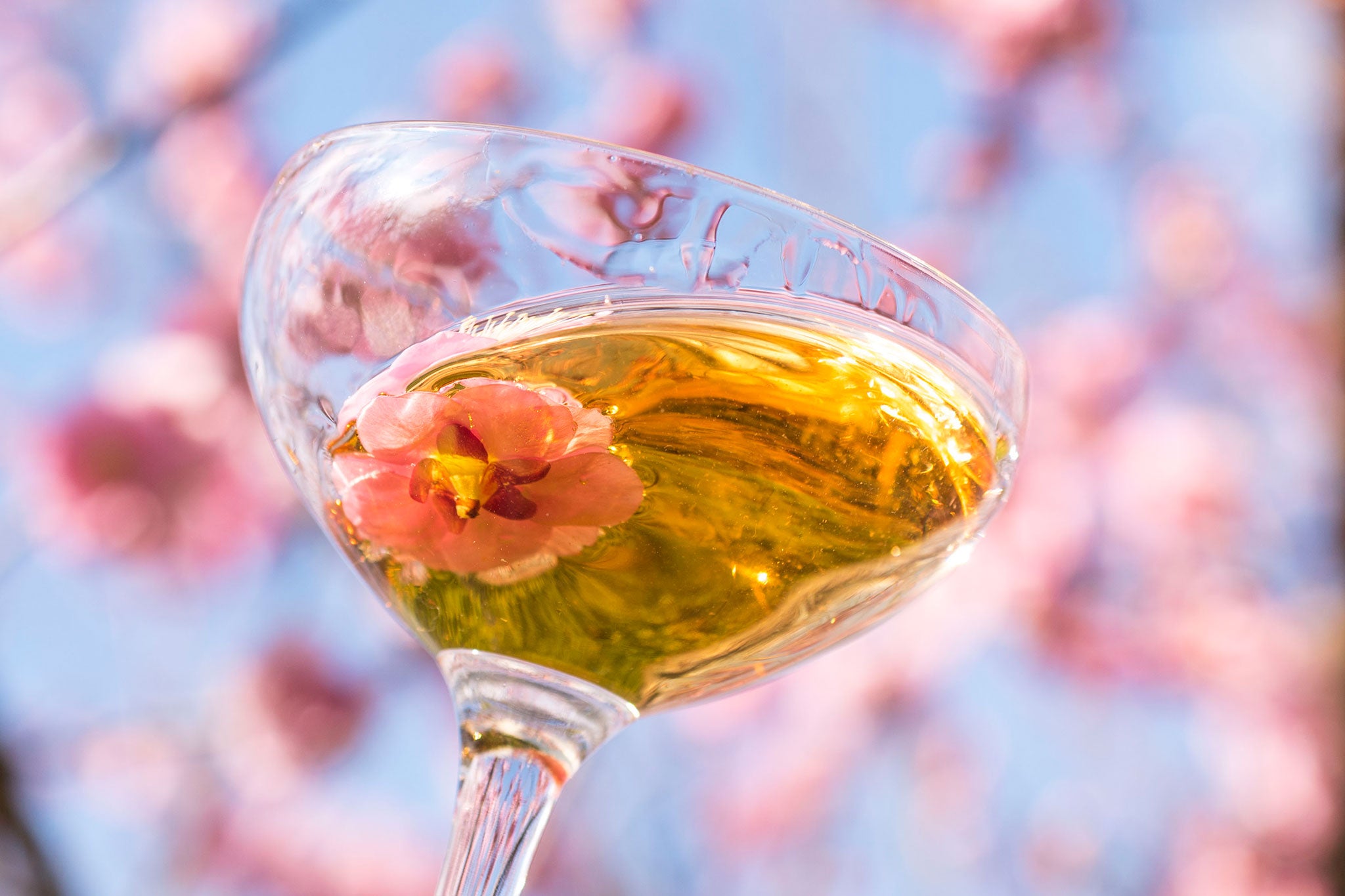 ガーデンテイスティング