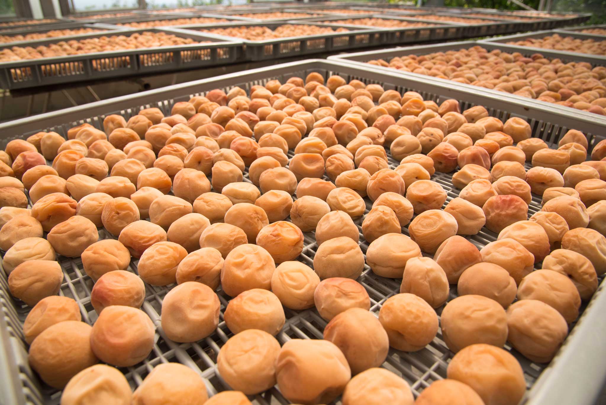 梅雨明け宣言日