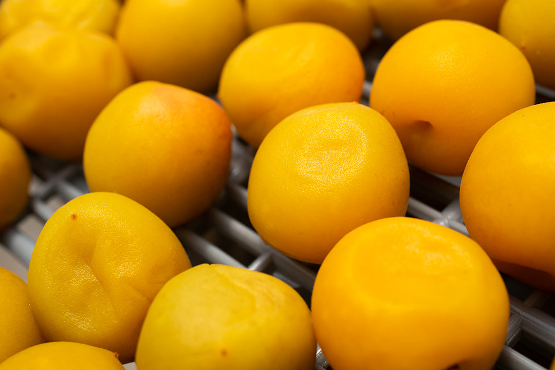 うめリンピック