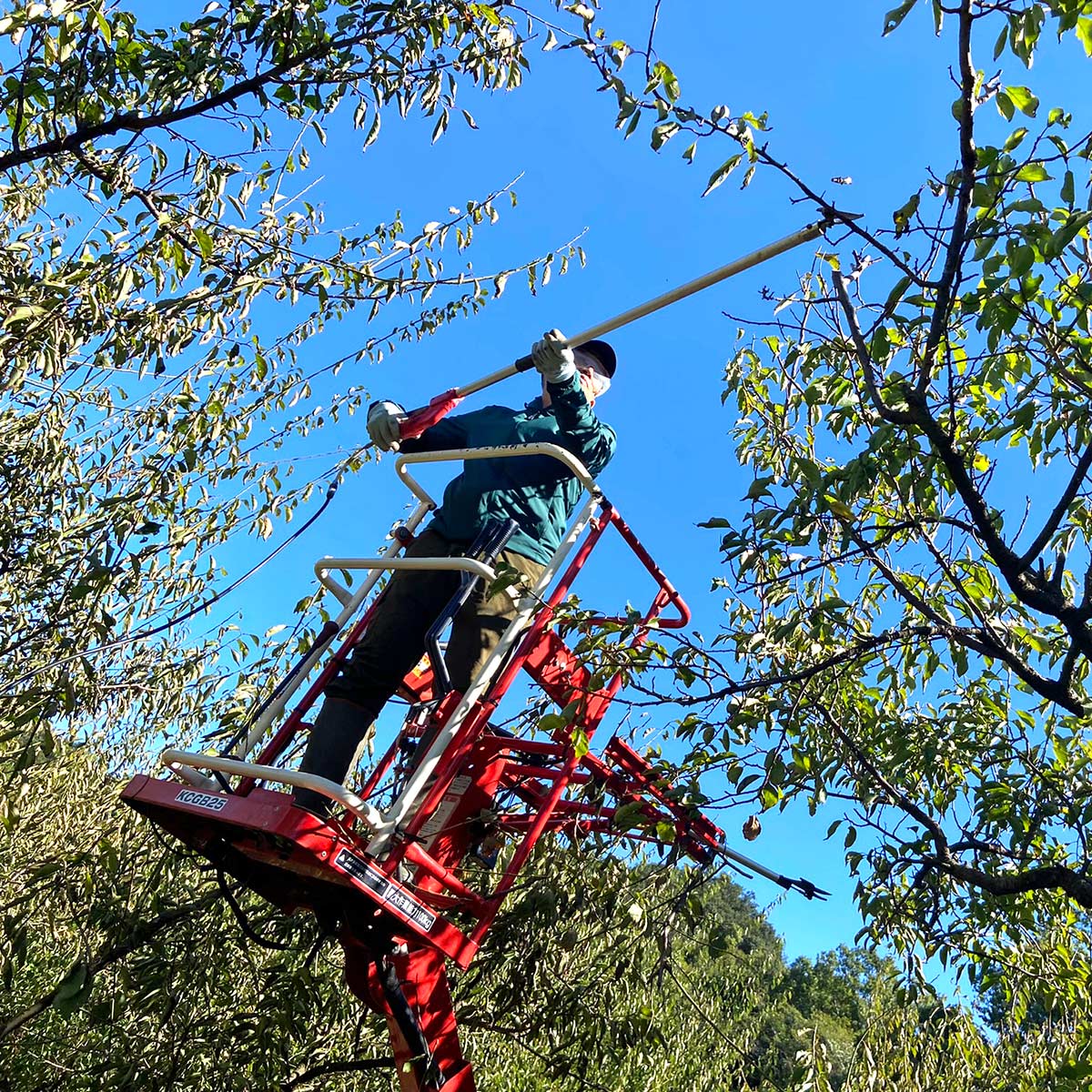 パチパチパッチン