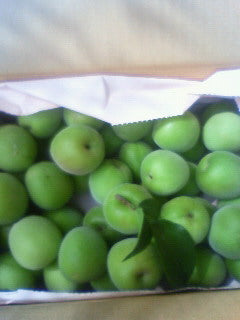 ようこそ!梅ちゃん