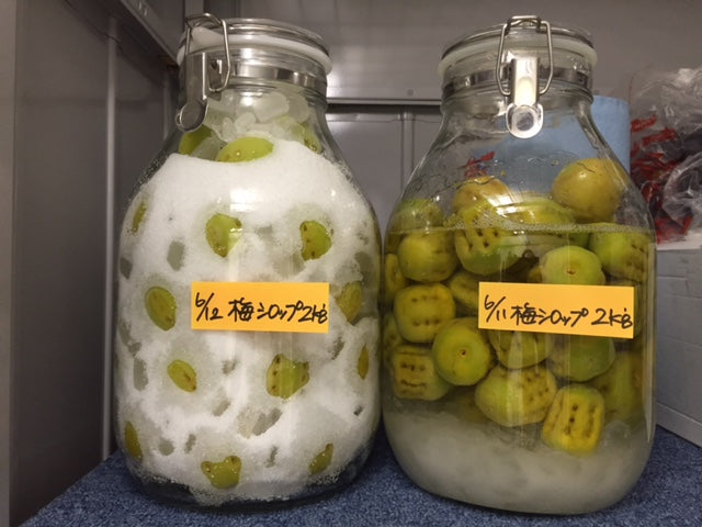 我が家の梅