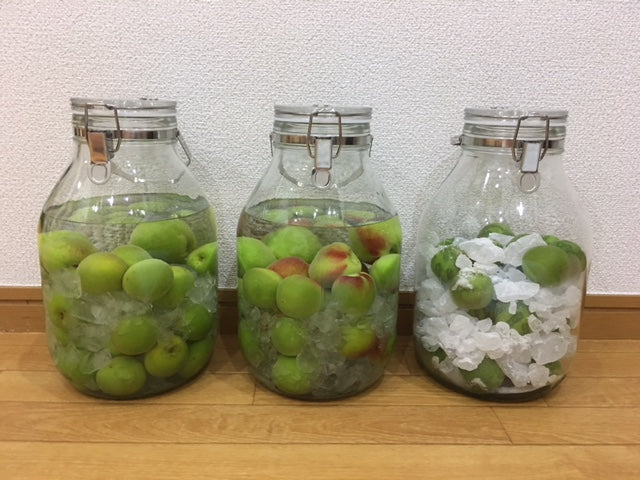 とても綺麗な梅