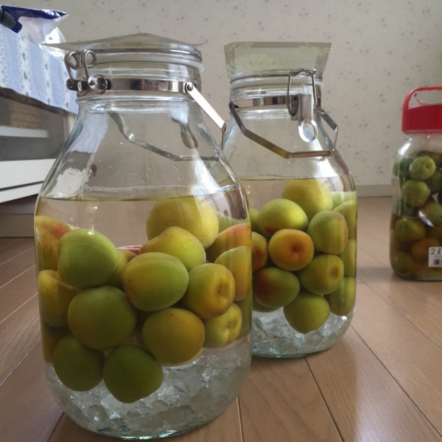 梅酒と梅ハチミツ