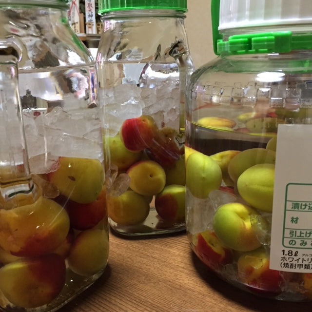 梅酒の仕込みが完了
