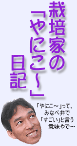 師走3