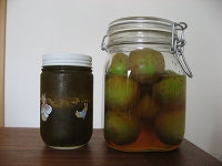 青梅ありがとうございました