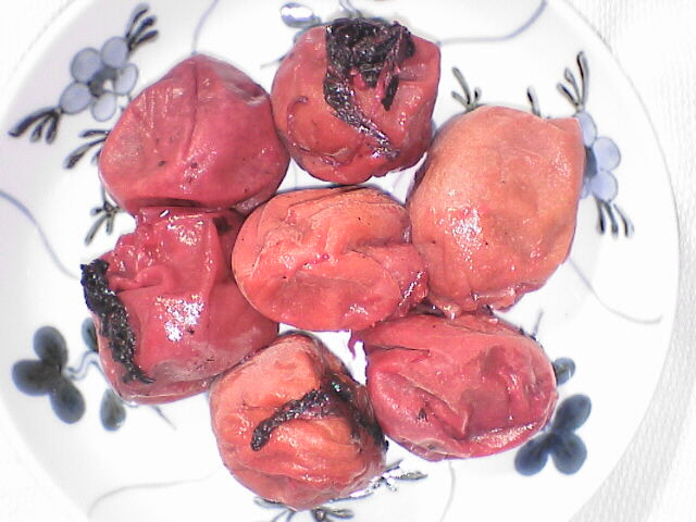 出来た梅干しです