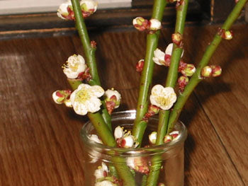 はじめまして。