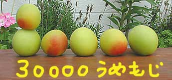 祝!30000 突破