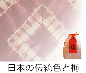 日本の伝統色と梅