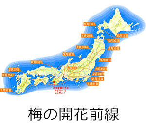 梅の開花前線