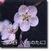 一の谷(いちのたに)