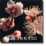 桃園(ももぞの)