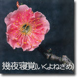 幾夜寝覚(いくよねざめ)