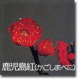 鹿児島紅(かごしまべに)