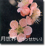月世界(げっせかい)