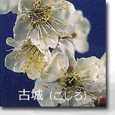 古城(ごじろ)