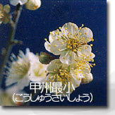 甲州最小(こうしゅうさいしょう)