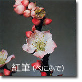 紅筆(べにふで)