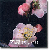 内裏(だいり)