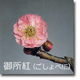 御所紅(ごしょべに)