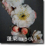 蓬莱(ほうらい)