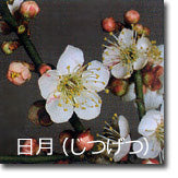 日月(じつげつ)