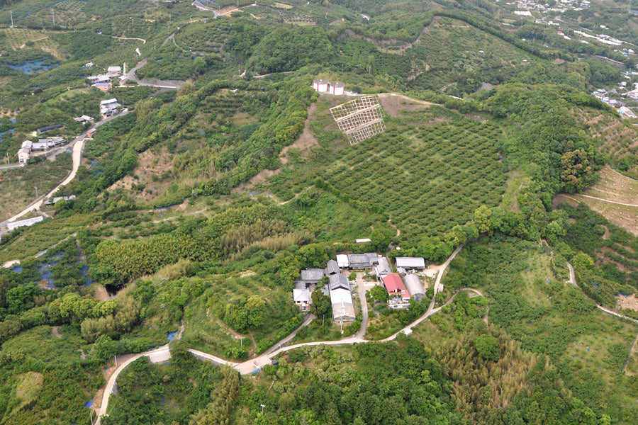 空から見た月向農園