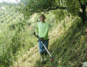 農園で一番 急斜面の畑