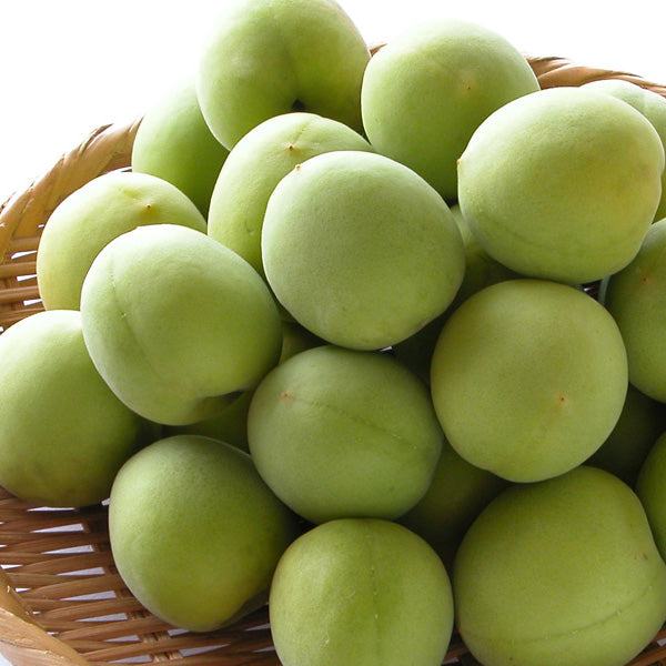 フレッシュ南高梅【キセキ】