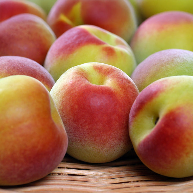 樹熟紅南高梅【キセキ】1kg