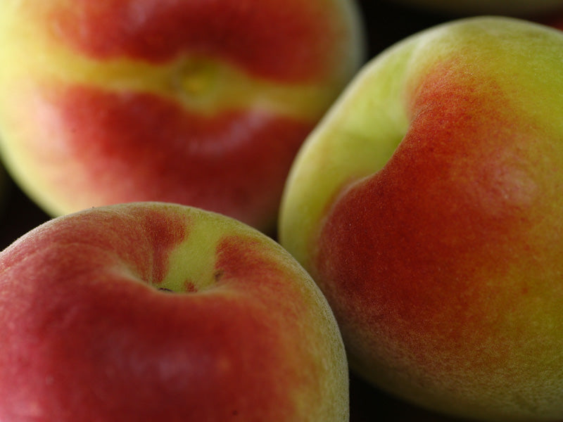 樹熟紅南高梅【キセキ】1kg