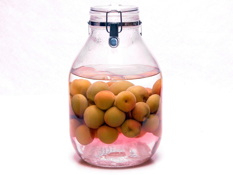 樹熟紅南高梅【キセキ】1kg