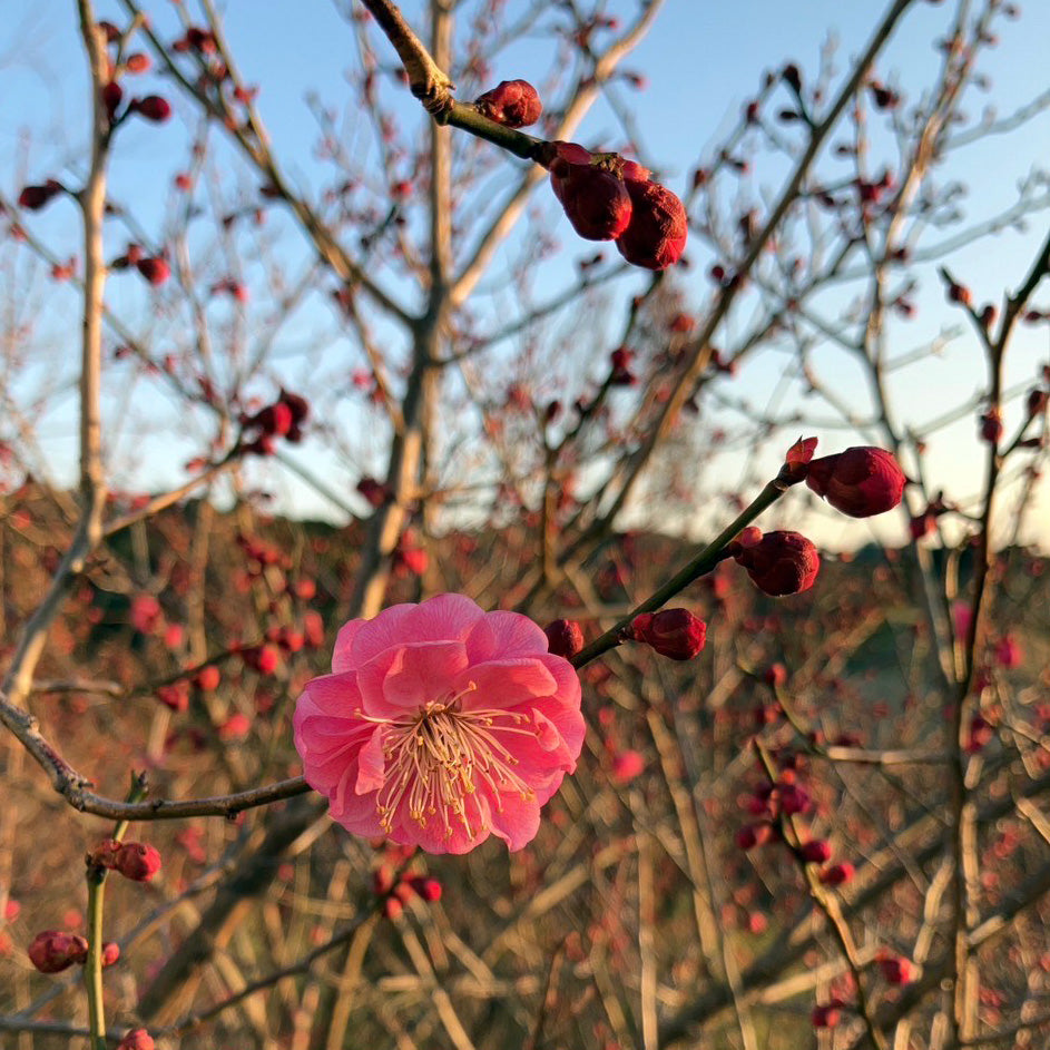 上からみる景色