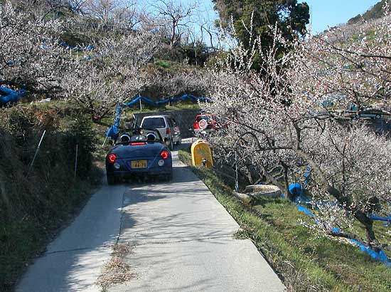 畑の細道