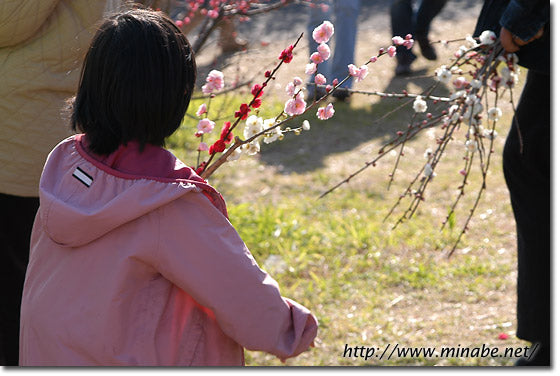 子供の手も借りる