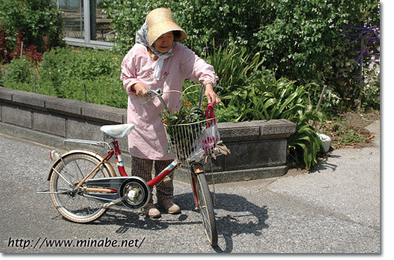 山の上の自転車