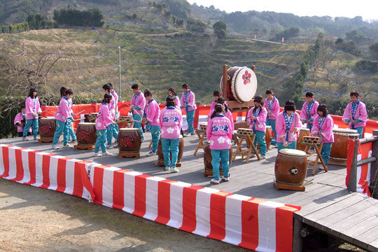 熱演