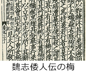 梅にまつわる年表｜なんでも梅学