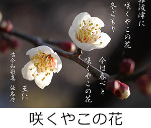 仁徳朝に「咲くやこの花」｜なんでも梅学