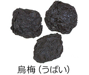 いろいろな梅の花｜なんでも梅学